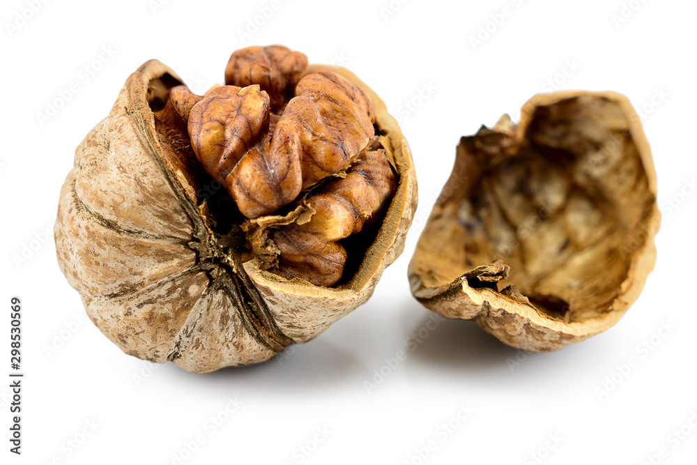 walnut close-up macro high resolution isolated on white background walnut close-up macro high resolution isolated on white background