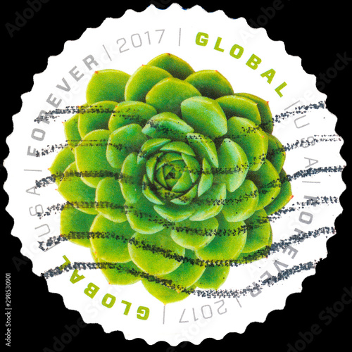 A postage stamp of serie Global Forever, printed in USA, that depict Green Succulent.