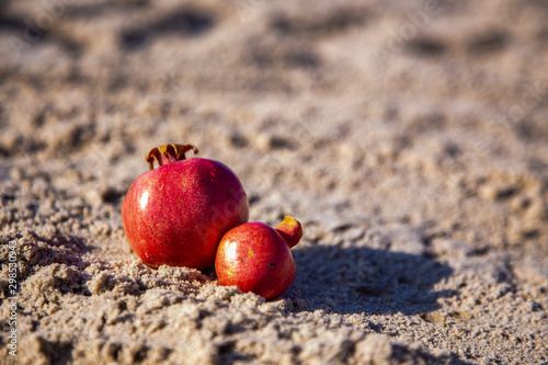 Torn, red pomegranate lies on the sand.