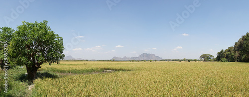 Moutain and grass landscape near the Mahar Sadan Cave in Hpa-An, Myanmar / Burma. photo