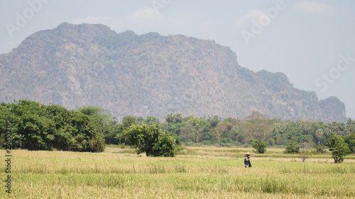 Moutain and grass landscape near the Mahar Sadan Cave in Hpa-An, Myanmar / Burma. photo