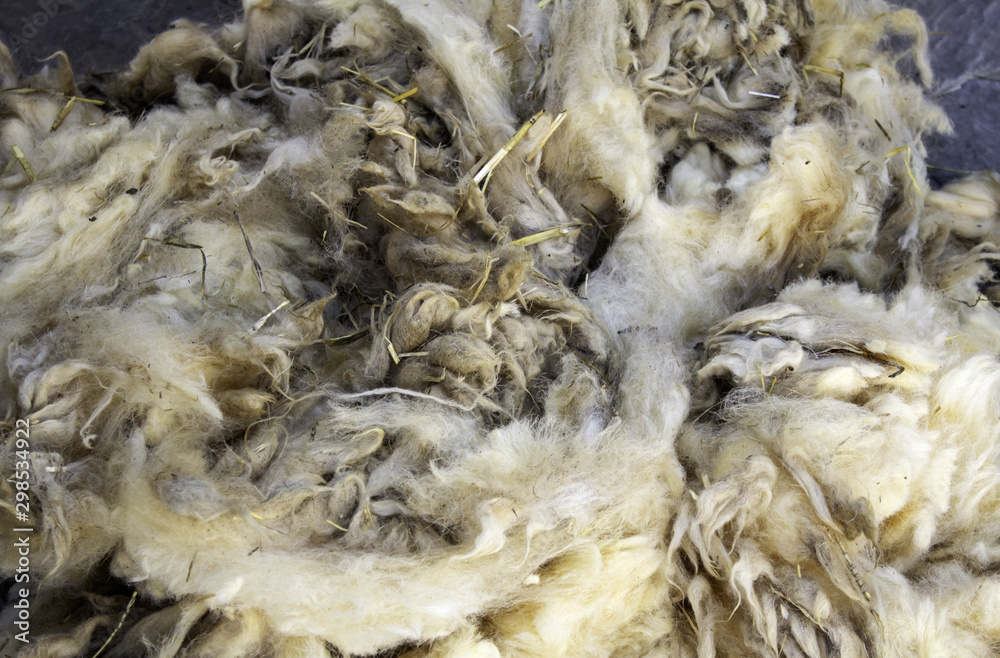Sheep wool Sheep wool