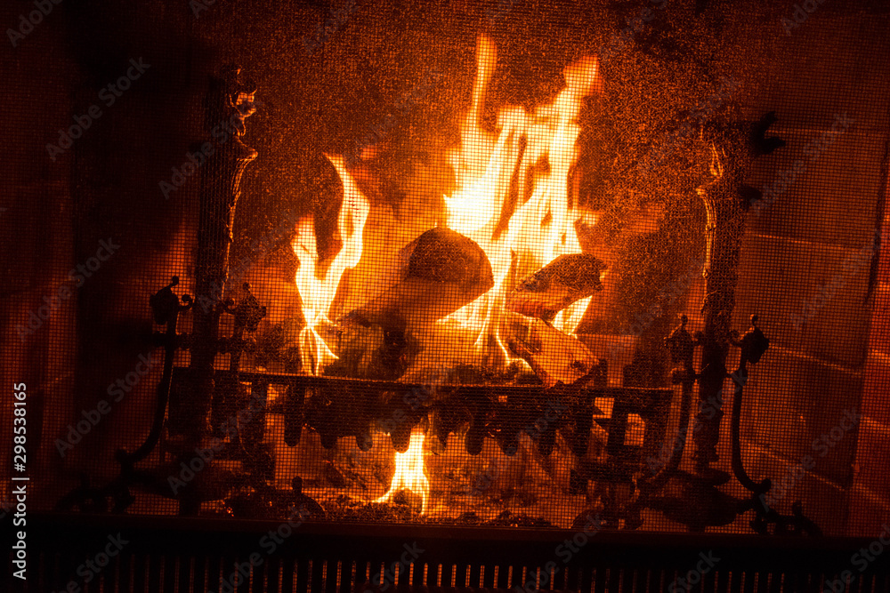 Obraz premium fire in fireplace