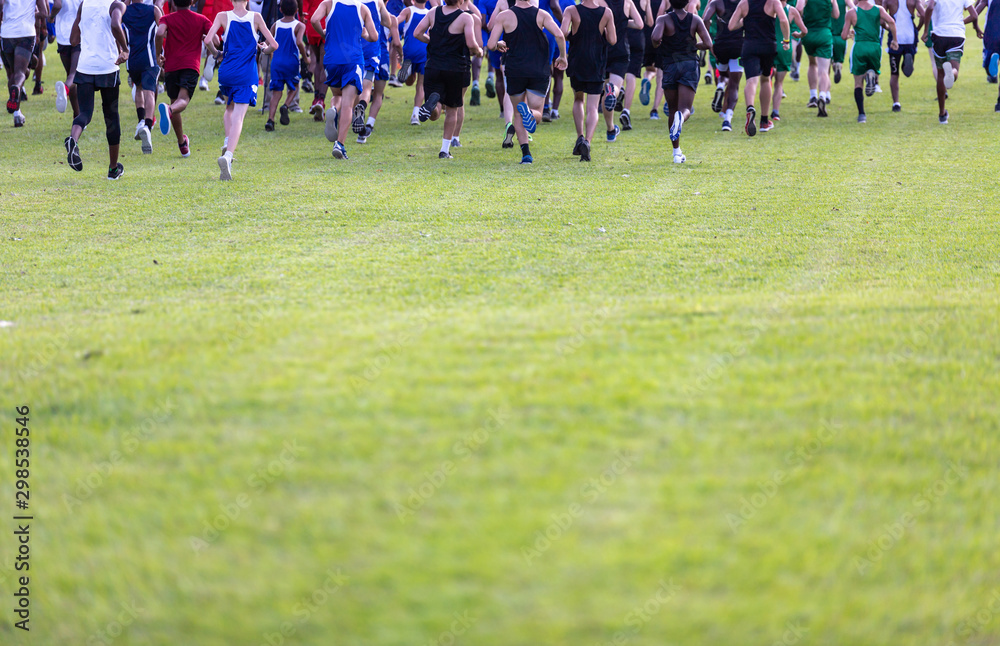 Green Field with Cross Country Race runners at top of image Green Field with Cross Country Race runners at top of image