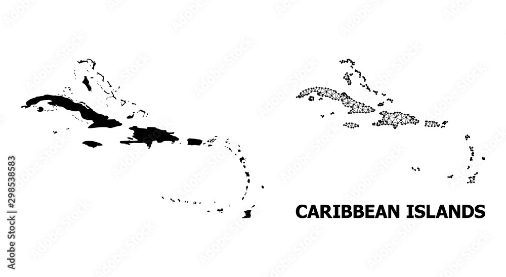 Obraz premium Solid and Wire Frame Map of Caribbean Islands