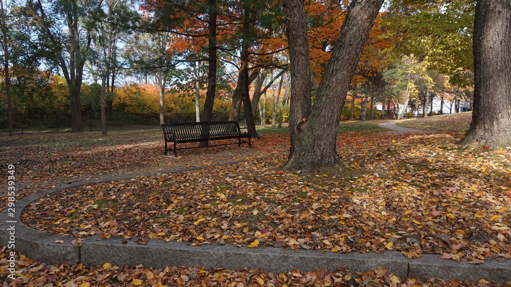 Fall Fall