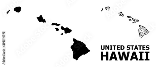 Fotografia, Obraz Solid and Mesh Map of Hawaii State