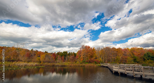 Autumn Scenes at the Lake