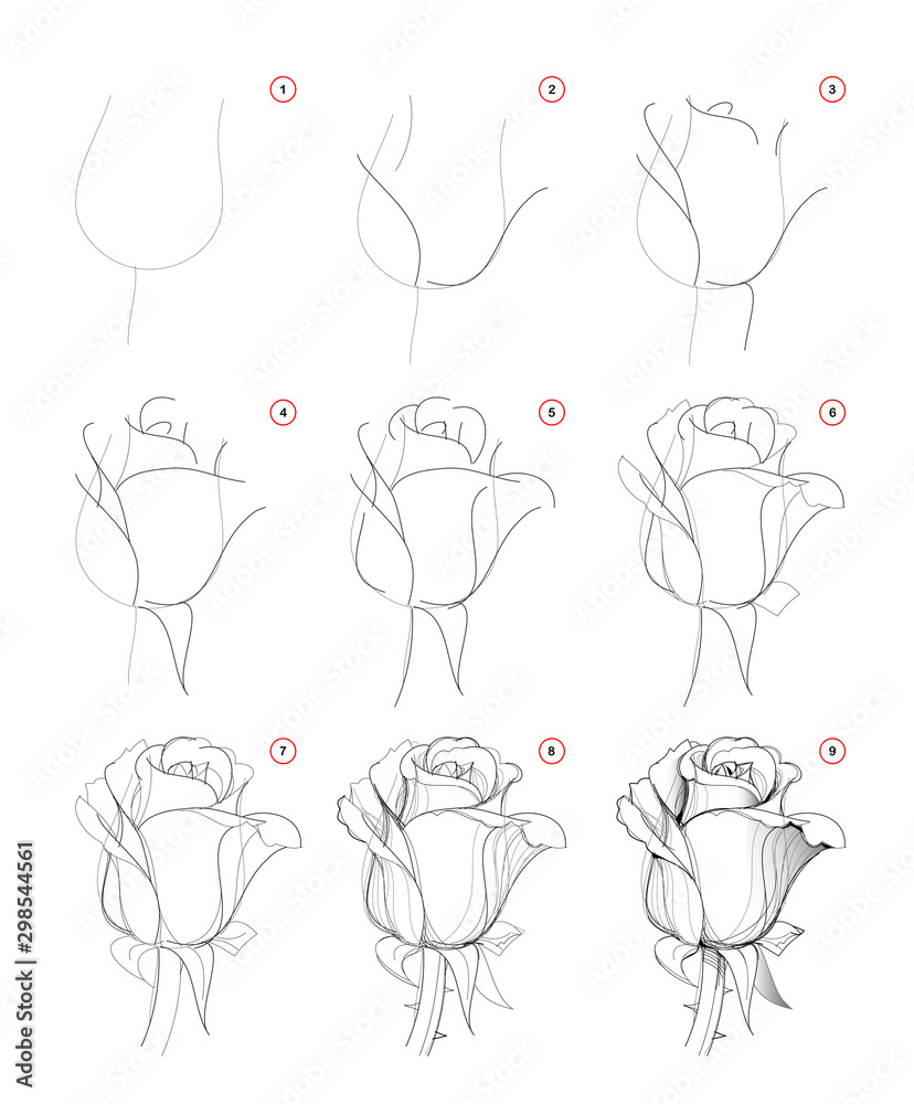 Rose Wish Leaves Pencil Drawing Stock Illustration - Illustration of  monochrome, beautiful: 138756888