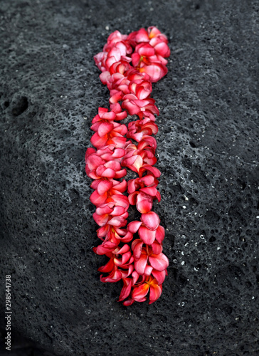 Obraz na płótnie Lei on Lava Rock on Big Island of Hawaii w salonie