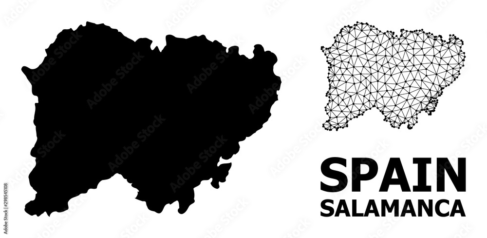 Solid and Carcass Map of Salamanca Province