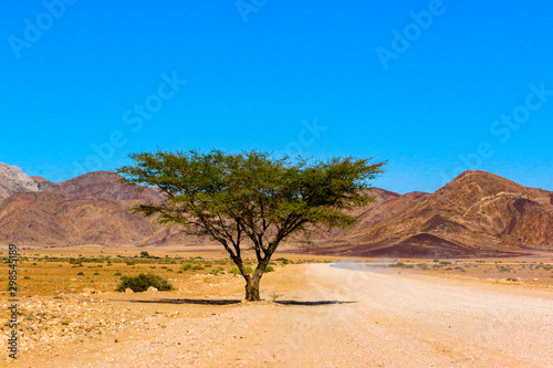 Paysage de Namibie en Afrique