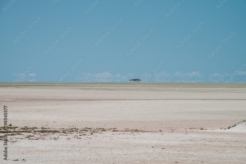 Mirage on the Salt Pan in Etosha Park Shimmering in the Distance