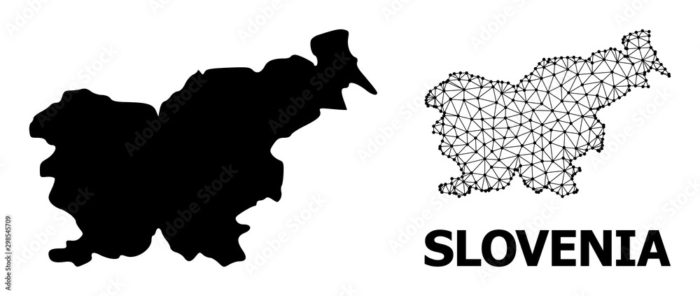 Solid and Network Map of Slovenia