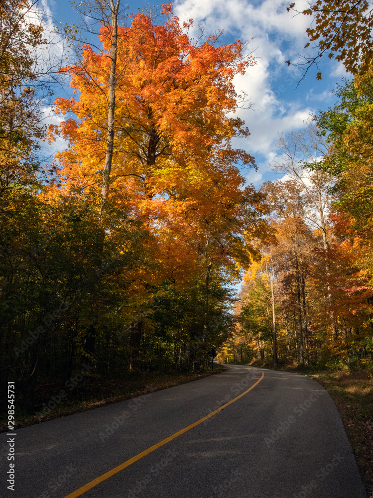 Autumn Colors in Virginia Kendall