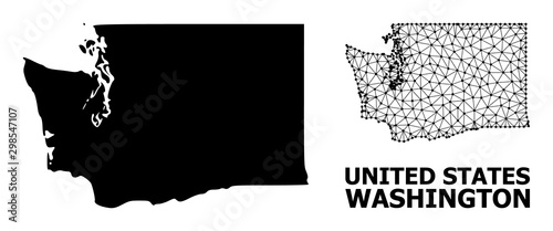 Solid and Mesh Map of Washington State