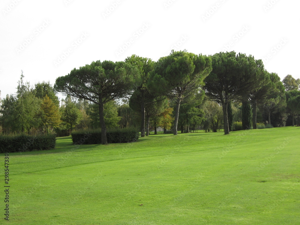 Fairway und viele Bäume auf einem Golfplatz - Golflandschaft