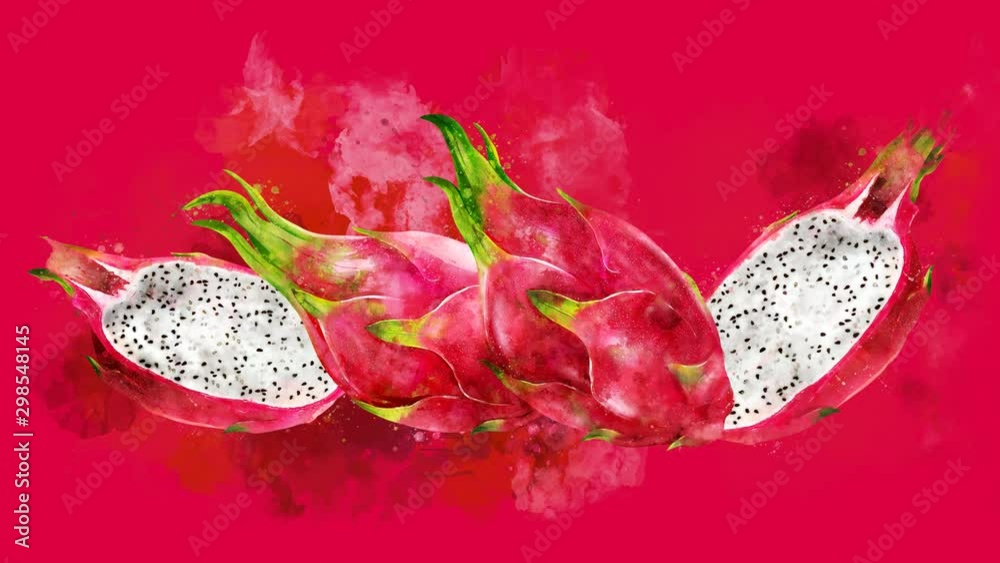 The appearance of the dragon fruit on a watercolor stain. The appearance of the dragon fruit on a watercolor stain.