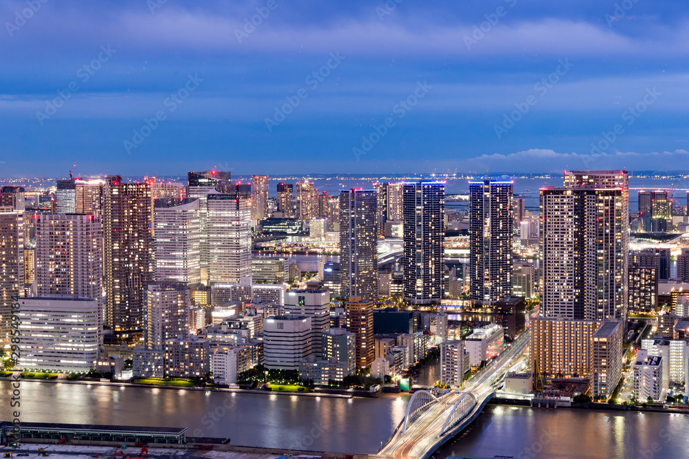 Fototapeta premium 東京都港区汐留から見た東京の夜景