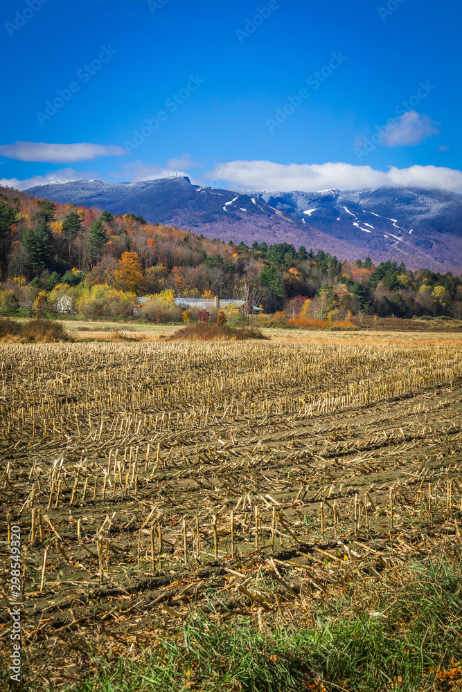 Mount Mansfield summit and ski resort Vermont USA  landscape with corn field