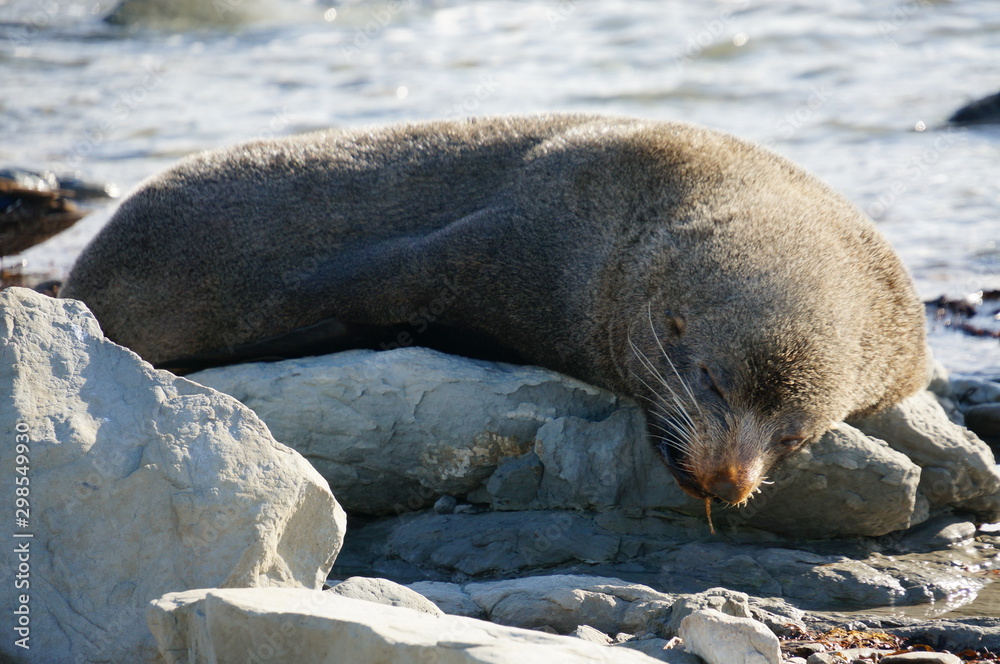 Naklejka premium seal