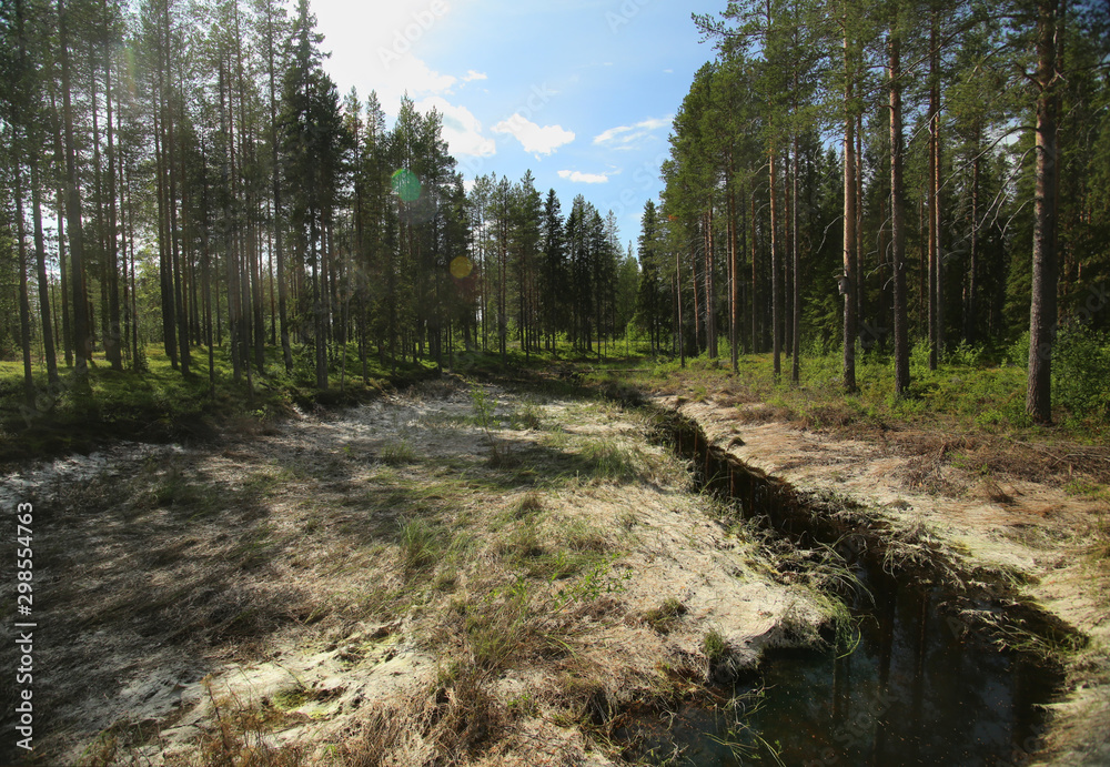 Dried watermeadow the Rortrask Silanger culture reserve in Lapland Dried watermeadow the Rortrask Silanger culture reserve in Lapland
