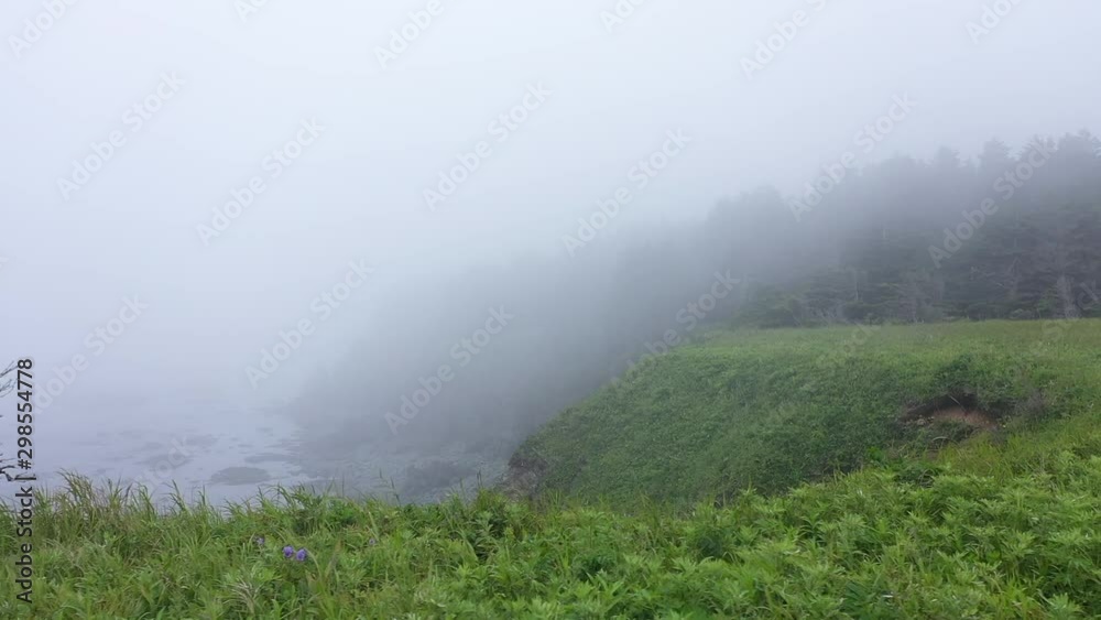 bird's eye view Sakhalin Cape Giant bird's eye view Sakhalin Cape Giant