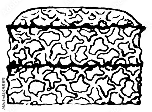Egg, vintage illustration.