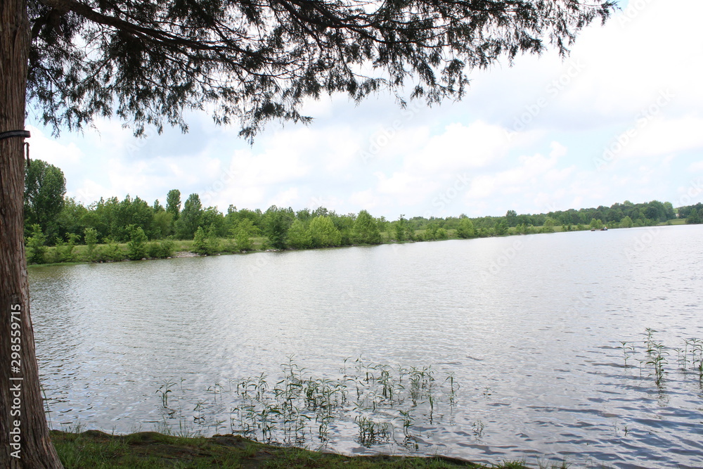 Fototapeta premium lake in forest