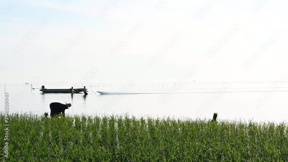 farmer edge lagoon and fishermen Talay Noi Wetlands,Phatthalung THAILAND 4k footage farmer edge lagoon and fishermen Talay Noi Wetlands,Phatthalung THAILAND 4k footage