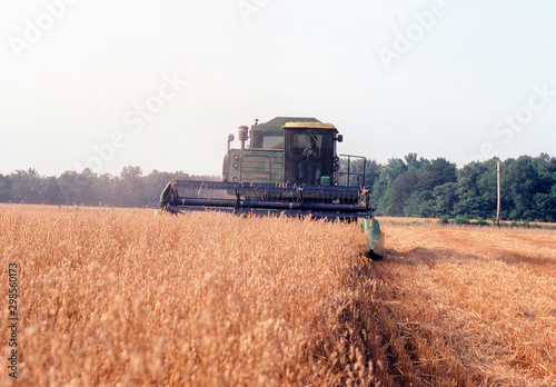farmer combine in field towards camera