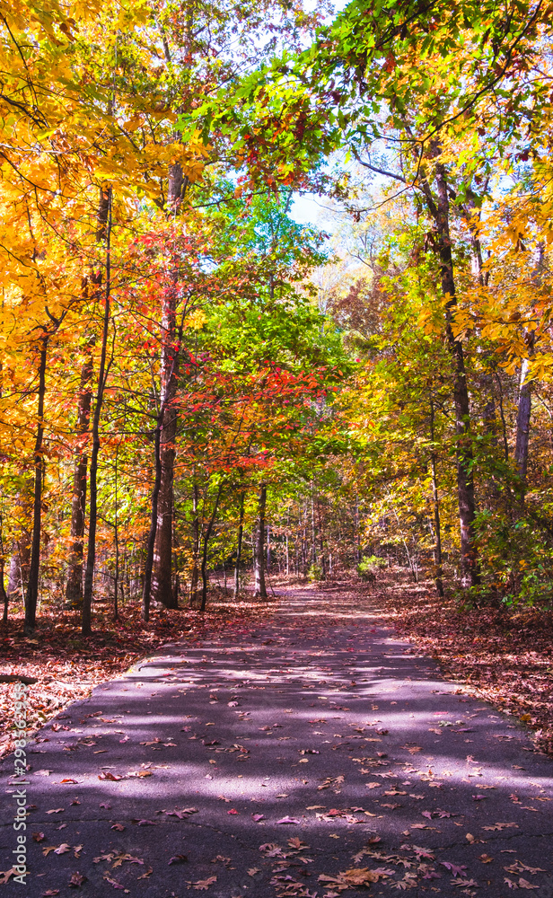 Naklejka premium Path at Deep Run Park in Fall