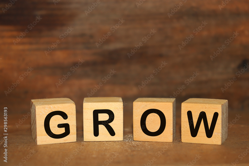 Fototapeta premium the word in wood type