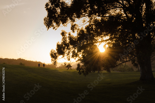 Two people walking toward a sunset with a tree in the foreground in New Zealanad