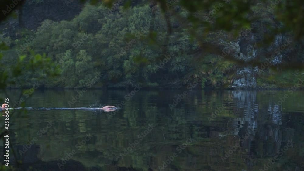 Swimming in a beautiful lake on a sunny day. Swimming in a beautiful lake on a sunny day.