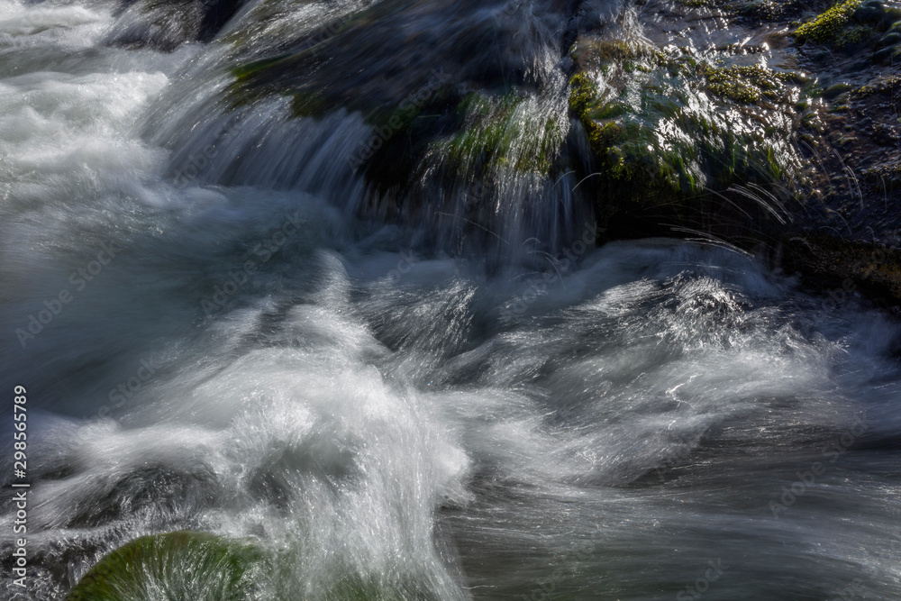 Naklejka premium スイス、ジュネーブの森