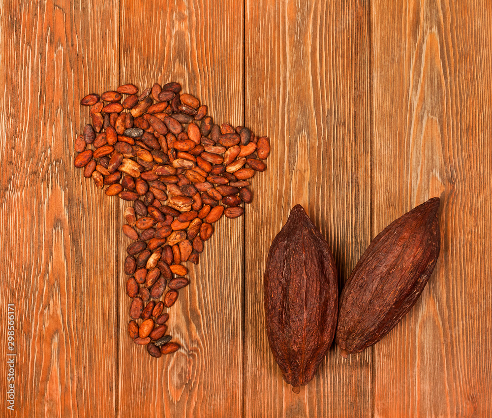 South America continent made of cocoa beans with cocoa pods on wooden background. Top view. South America continent made of cocoa beans with cocoa pods on wooden background. Top view.