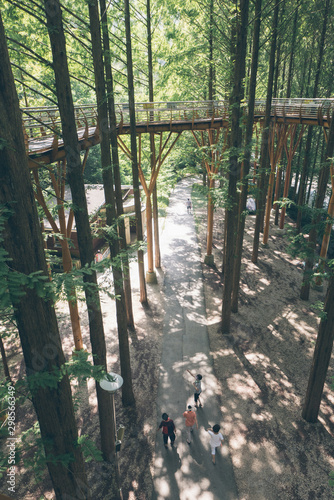 Jangtaesan Recreational Forest in Daejeon  South Korea