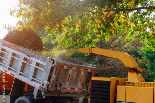 Wood chipper blowing tree branches cut a portable machine used for reducing wood into smaller wood chips.