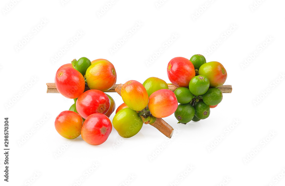 coffee bean on white background