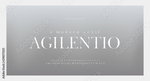 Elegant awesome alphabet letters font and number. Classic Lettering Minimal Fashion Designs. Typography fonts regular uppercase and lowercase. vector illustration