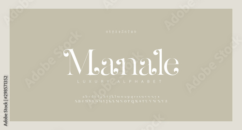 Elegant alphabet letters serif font and number. Classic Lettering Minimal Fashion. Typography Luxury fonts uppercase, lowercase and numbers. vector illustration