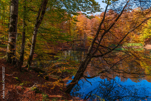 Fototapeta Naklejka Na Ścianę i Meble -  Highland lake in the autumn season