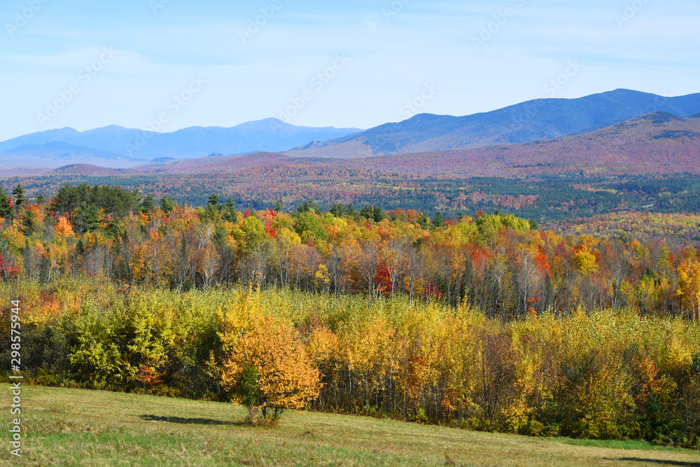 autumn colorful mountain forest and pasture