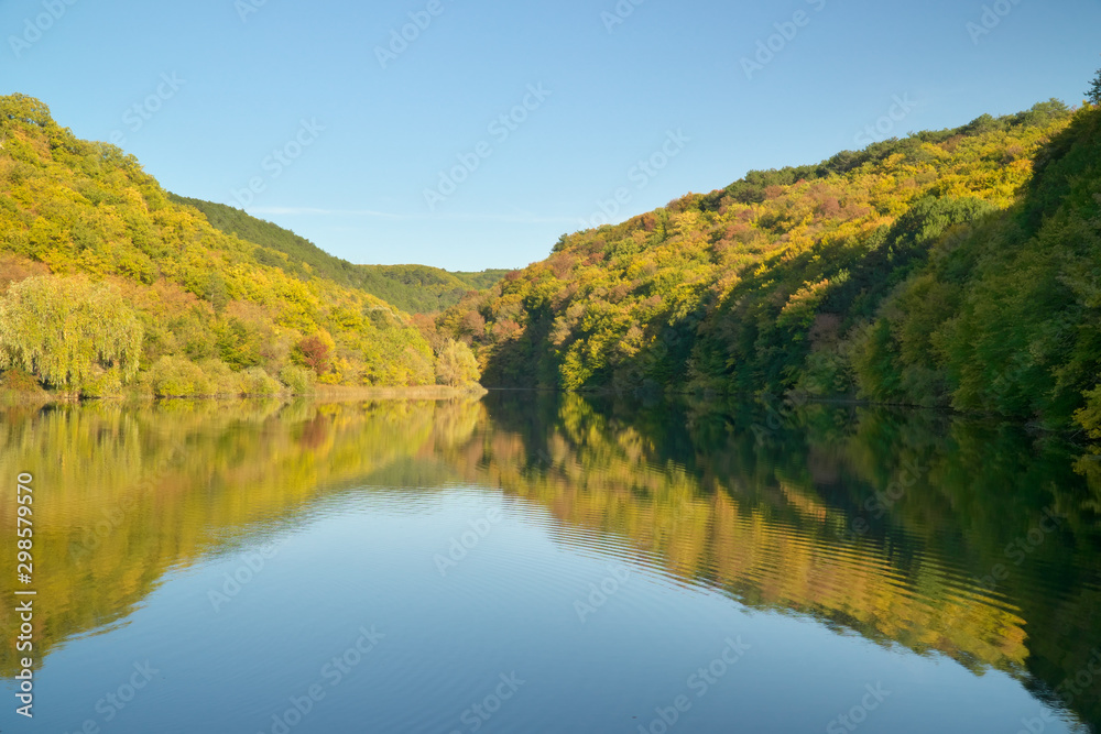 River and autumn forest.