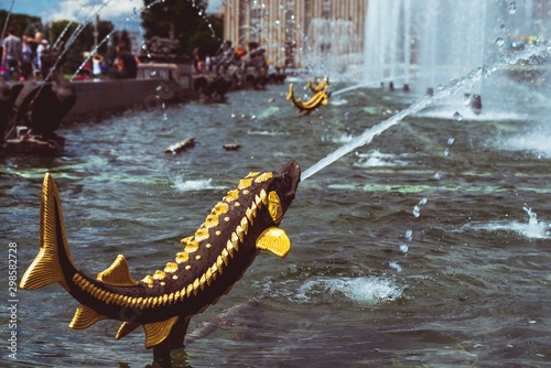 Photography fountains in moscow
