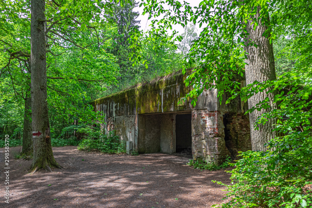 alter zugewucherter Bunker im Wald alter zugewucherter Bunker im Wald