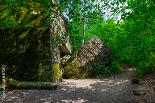 alter zugewucherter Bunker im Wald