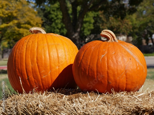 Close up of two orange pumpkins on haybales at a farmer's market