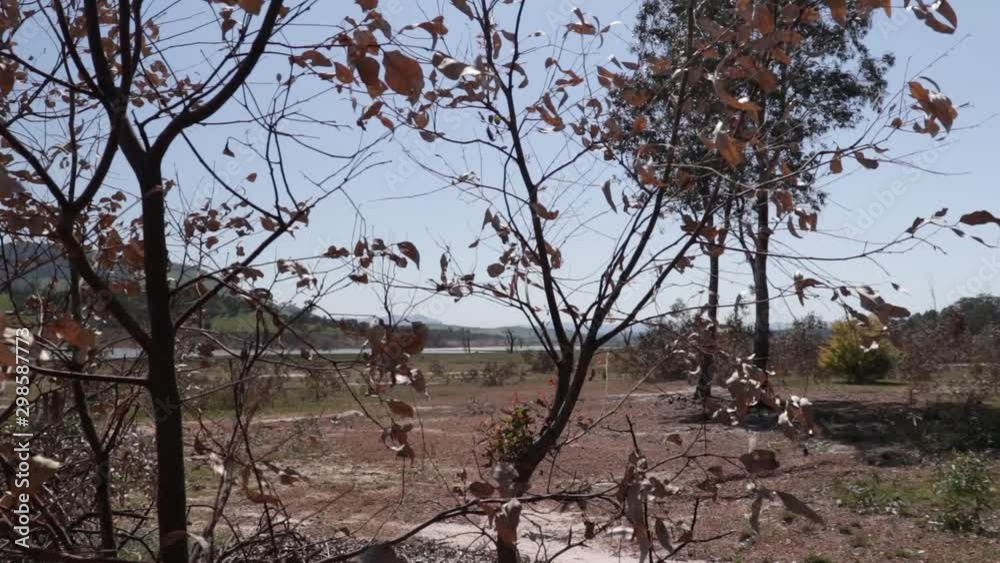Dried leaves moving in the wind, framing dry land in the distant background, lock down shot. Dried leaves moving in the wind, framing dry land in the distant background, lock down shot.